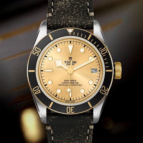 tudor stahl gold|tudor 41mm black bay.